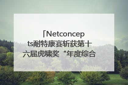 Netconcepts耐特康赛斩获第十六届虎啸奖“年度综合服务商”大奖